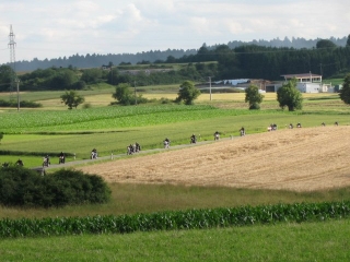 2009-AusfahrtenPartys-Sommerparty-5